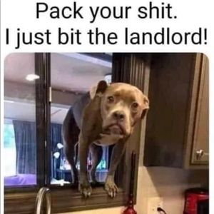 Meet your Posher, Mr